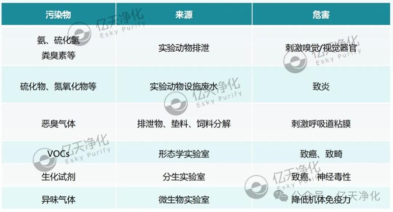 清穹·實(shí)驗(yàn)室空氣凈化柜--開啟實(shí)驗(yàn)室空氣新“凈”界